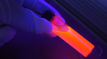 Introducción a las ciencias forenses Introducción a las ciencias forenses