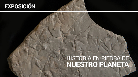 Exposición: Historia en piedra de Nuestro Planeta