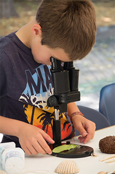 Niño observando al microscopio