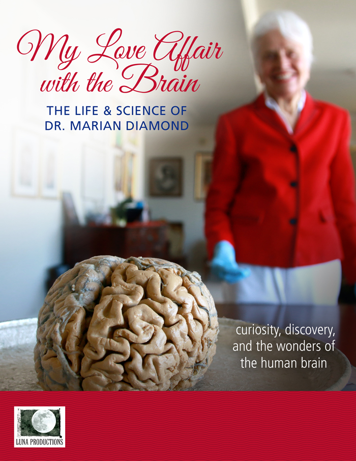 My Love Affair with the Brain